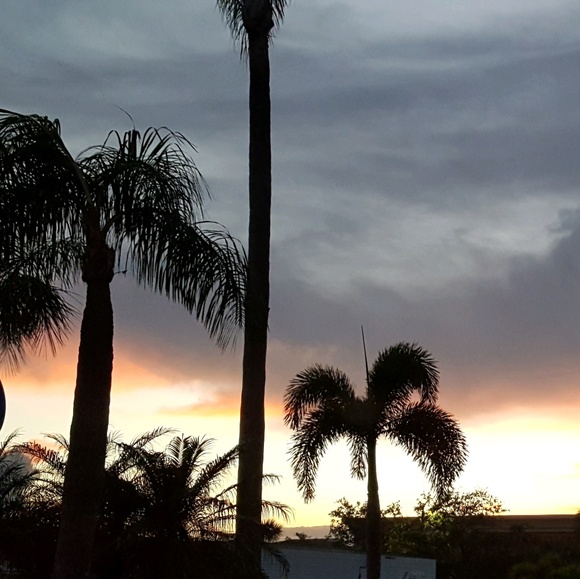 Meet your Posher, Angela - Picture 1 of 1